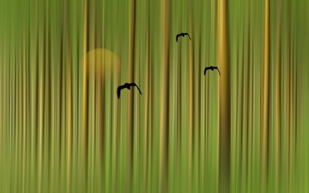 Sunset - summer, forest, bird, creative, bamboo, fantasy, pasare, texture, sunset, skin, green