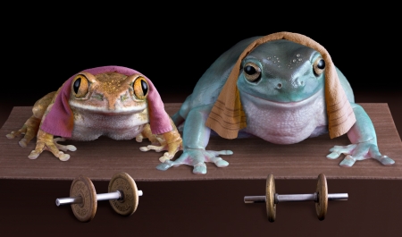 :D - couple, frog, pink, blue, gym, creative, fantasy