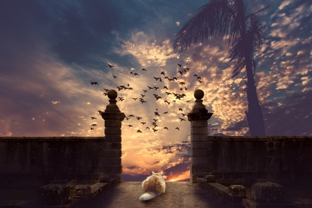 Bye-bye! - bird, creative, cat, fantasy, pisica, cloud, pasare, luminos, sky, palm tree