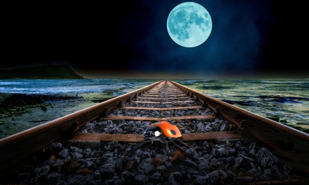 Moonlight - moon, ladybug, full, rails, luna, creative, fantasy