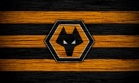 The Wolves - the wolves, molineux, wolf, england, football, fc, gold and black, wolves football club, screensaver, fwaw, soccer, wolverhampton wanderers football club, english, out of darkness cometh light, wwfc, wolverhampton, wolverhampton wanderers fc, wolves, fans, wanderers, wolves fc, wallpaper