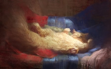 Cat - animal, pisica, sleep, campbell white schmid, art, luminos, cat