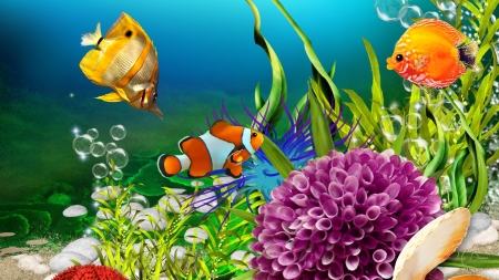 Itty Bitty Fishes - coral, sea shells, fish, sand, plants, sea, firefox persona theme