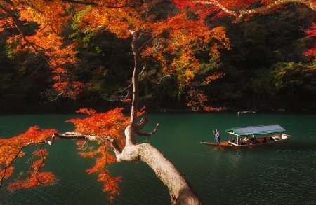 Autumn River - nature, trees, forest, japan, boat