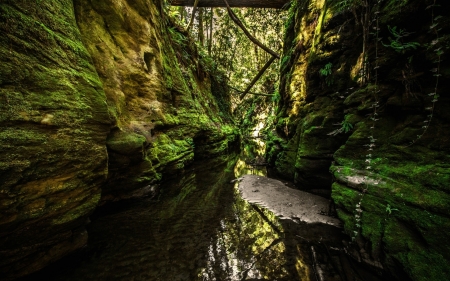 Natural Green Walls