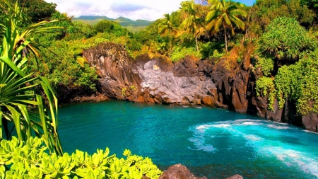 Hawaii - Seven Seas Island - trees, lagoon, nature, sea, hawaii, rocks, palm