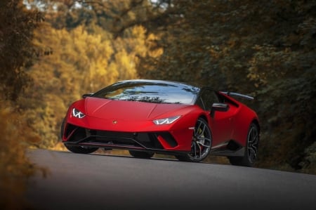 Lamborghini - Lamborghini, fun, car, cool