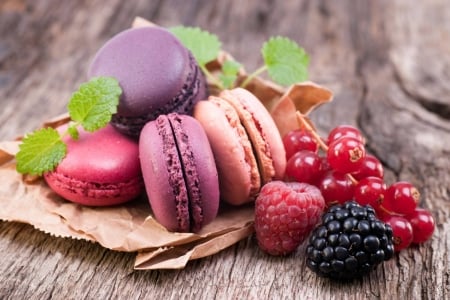 macaroons - fun, food, yummy, entertainment, macaroons, cool