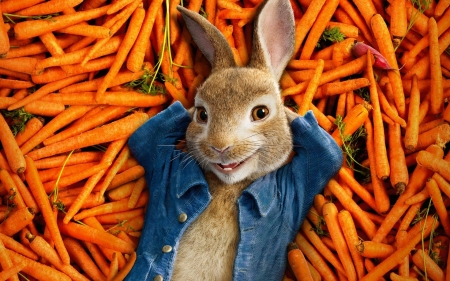 Peter Rabbit - Peter Rabbit, funny, movies, entertainment, cool