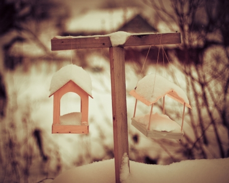 â™¥ - cage, abstract, soft, snow, photography, flowers