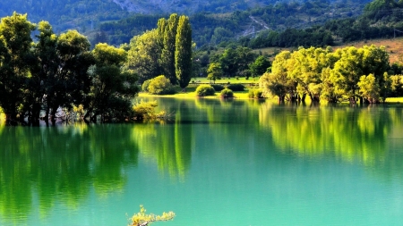 Emerald Lake - nature, lake, trees, forest, reflection, emerald, green, mountains