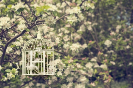 â¤ - cage, abstract, photography, spring