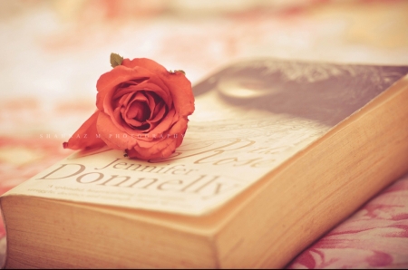 :) - still life, book, rose, soft