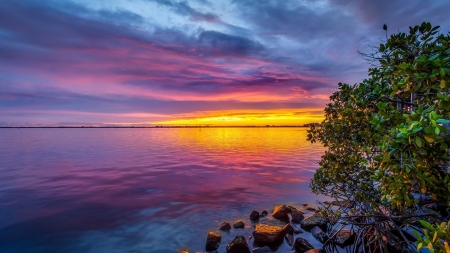 Rocks on the Beach - nature, beach, sky, trees, sunset, rocks