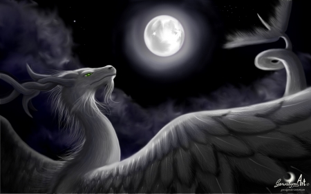 Dragon - moon, wings, night, fantasy, white, luminos, feather, dragon, luna