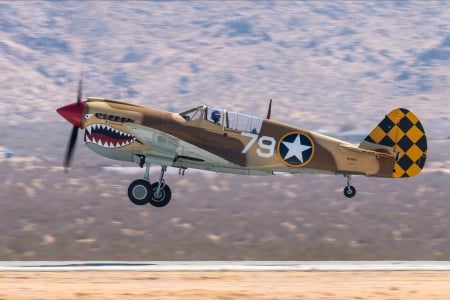 WW2 P40N Warhawk - aircraft, ww2, military, warhawk