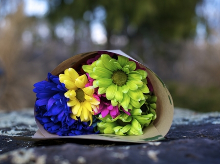 Lovely Bouquet - nature, yellow, pink, blue, flowers, bouquet