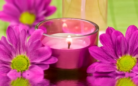 Spa background - candle, purple, chrysanthemum, spa, flowers