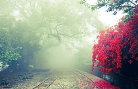 ♡ Journey Less Taken ♡ - fall, train, railroad, nature, season, autumn, traintrack