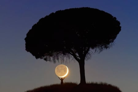 I Brought You the Moon - space, cool, fun, moon, tree