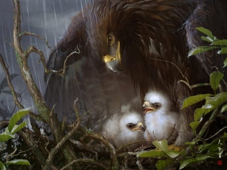 Eagle's chicks - bird, chick, feather, baby, pictura, eagle, white, nest, painting, rain, wings, mother, art