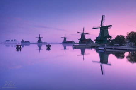 Windmills During Winter in Zaandam the Netherlands - holland, winter, Nature, fog, mill, windmills, reflection