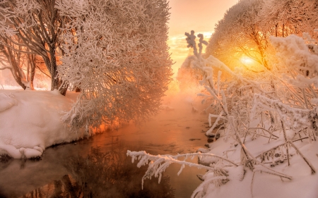 Winter Sunset - trees, winter, snow, forest, river, sunset, nature, frost, lake