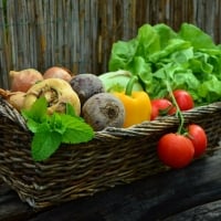 Basketful of vegetables