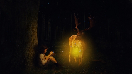 Friendship - buck, trees, book, butterflies, girl, night, forest, magical, light, lantern