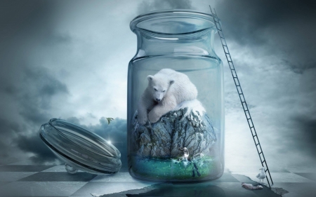 :) - bird, winter, creative, glass jar, fantasy, urs, animal, seagull, iarna, pasare, polar bear, penguin