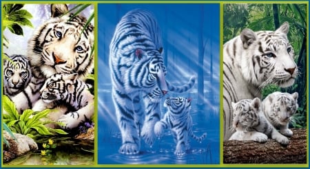 Tigers - blue, collage, tiger, fantasy, white, animal, green, tigru, luminos, bibii sevatiares