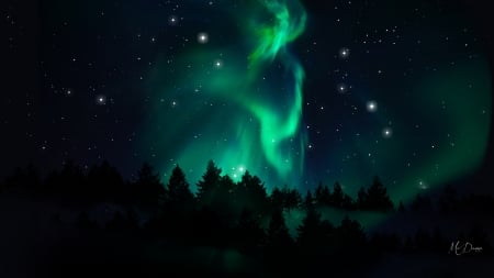 Northern Sky - sky, aurora borealis, stars, trees, night, bright, forest, northern lights, firefox persona theme