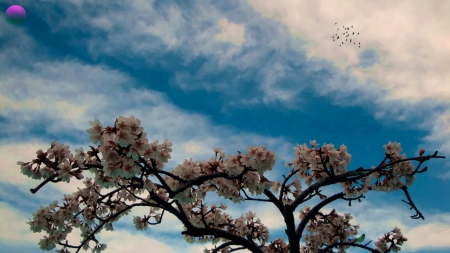 april - melody, spring, park, sky