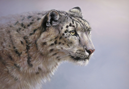 Snow leopard