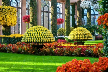 Longwood Gardens - usa, flowers, windows, Pennsylvania, hall, arrangemente