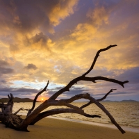 Beach Sunset