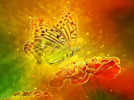 Butterfly - nature, butterfly, flower, colourful