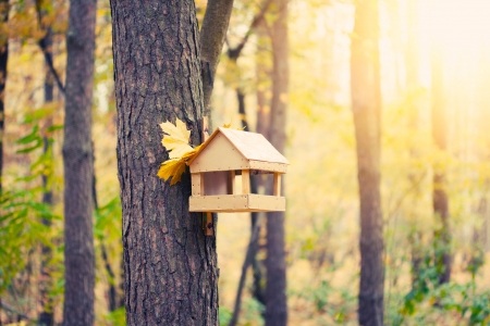 â™¥ - leaf, tree, abstract, birdhouse