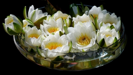 Bowl of Spring Flowers - lilies, nature, bowl, water, flowers