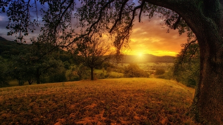 Landscape at Dawn - nature, sky, landscape, trees, dawn, sun, mountains, sunset