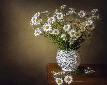 ♥ - abstract, flowers, vase, soft