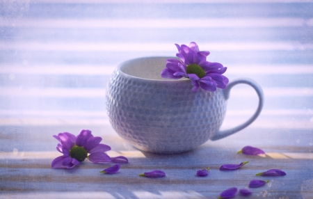 Purple Love - tea, love, purple, cup