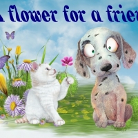 FLOWER FOR A FRIEND