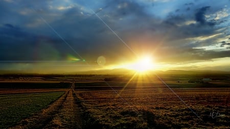 Sunset Flare - farm road, sunrise, morning, night, dawn, path, sunset, driveway, bright, field, country