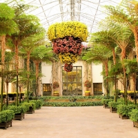 Longwood Gardens Chrysanthemum Festival