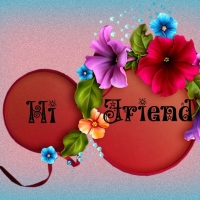 HI FRIEND