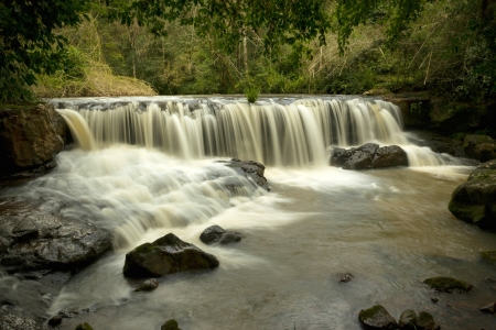 Waterfall from Argintina - trees, nature, waterfall, argintina