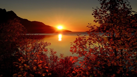 Autumn Sunset in Norway - red leaf, sunset, nature, autumn, mountains, reflection