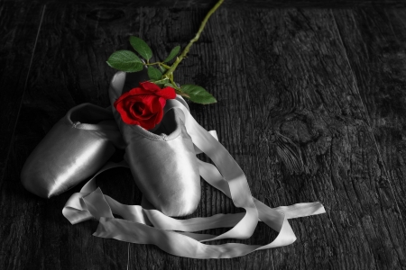 â™¥ - abstract, red, flowers, rose, cup