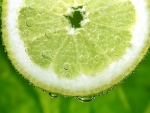 Lime